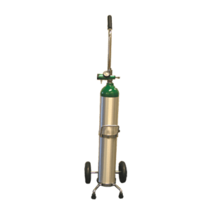Portable Oxygen Delivery System