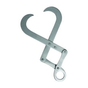 Fetatomy Eye Hooks