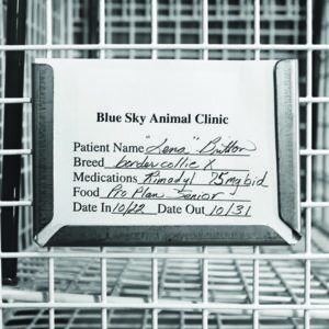 Cage Card Holder