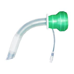 Silicone Equine