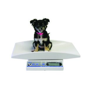 Pediatric Scale