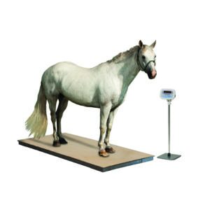 Jorvet Equine Platform Scale