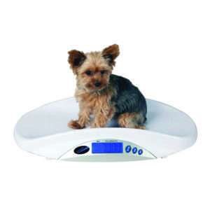 JorVet Portable Digital Scale