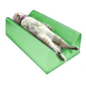 K-9 EZ Boy Radiographic Positioning Aid, Non-Covered