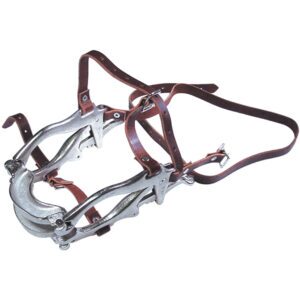 Equine Dental Instruments & Tools