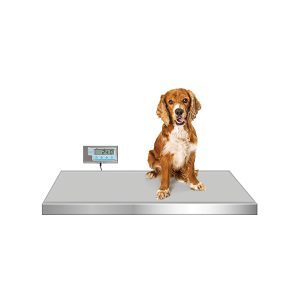 Walk-On Platform Scale, 36" L