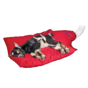Warming Air Blankets