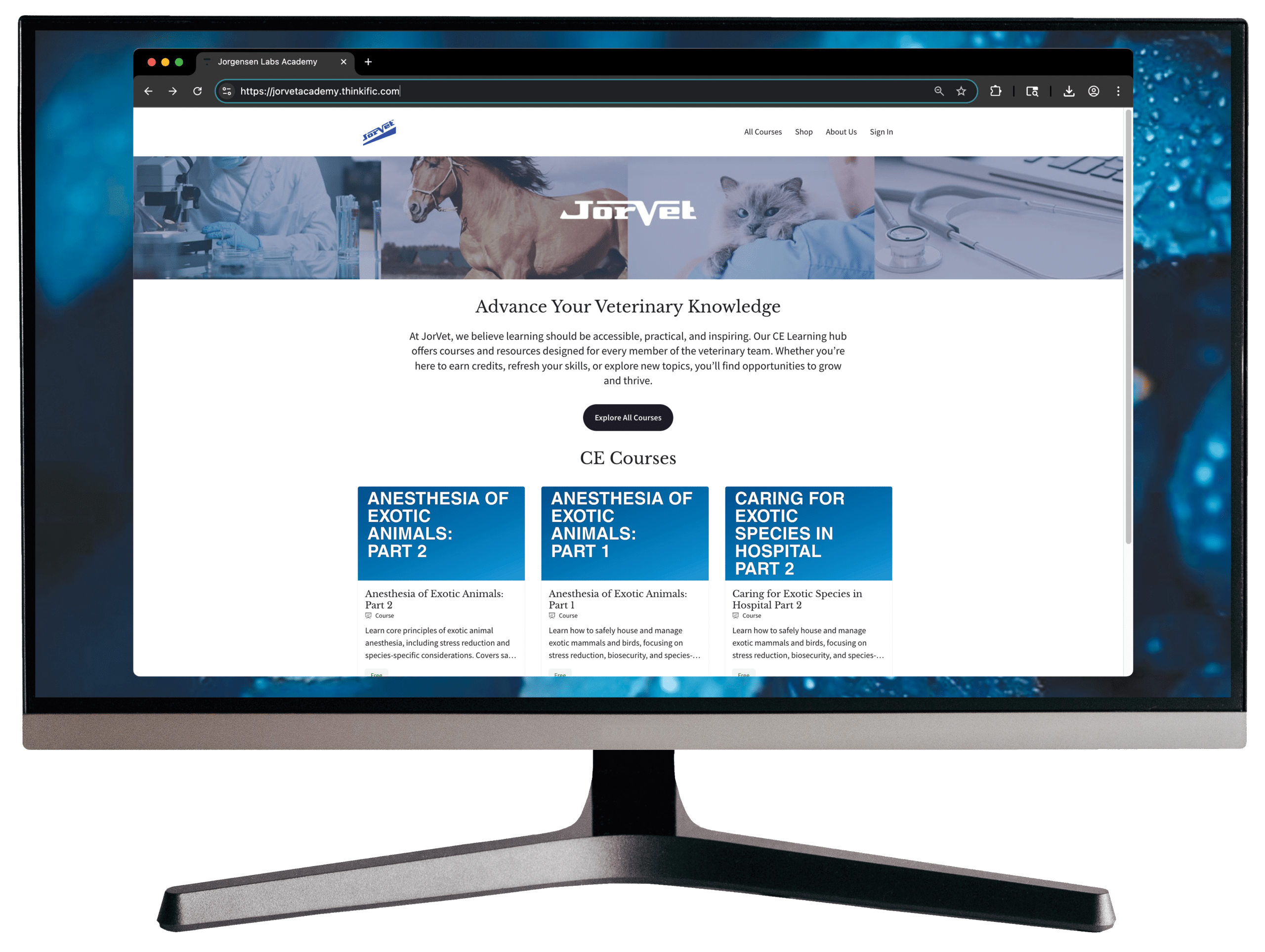 Computer Monitor CE Courses
