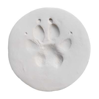 ClayPaws® Kits & Accessories