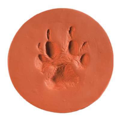 ClayPaws® Kits & Accessories - Image 2