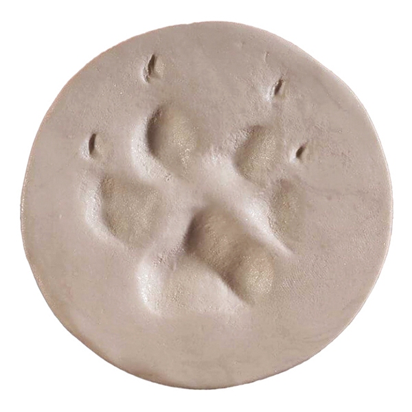 ClayPaws® Kits & Accessories - Image 3