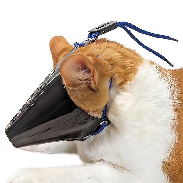 Premium Cat Muzzles - Jorgensen Laboratories